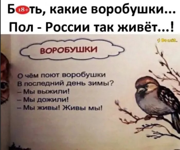 Юмор на любителя