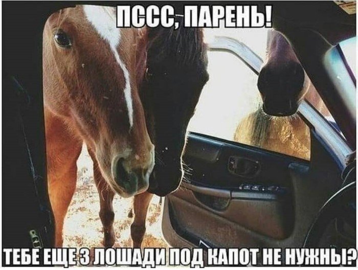 Автоюмор