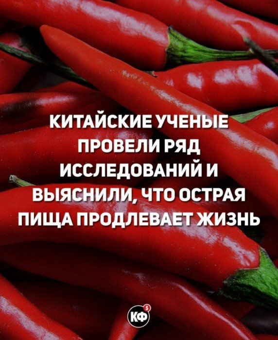 Краткие факты