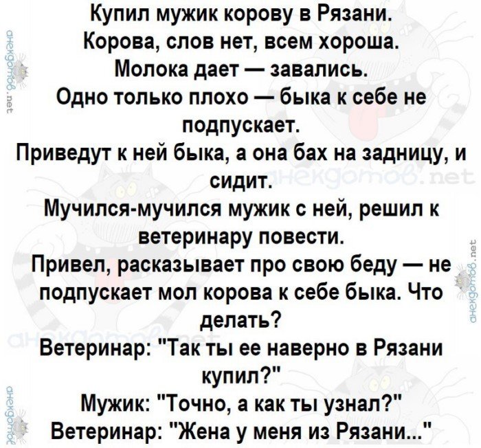 Лучшие анекдоты