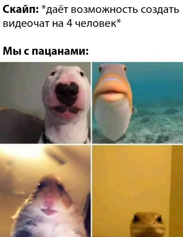 Прикольчики