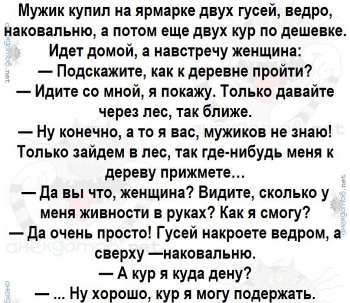 Лучшие анекдоты