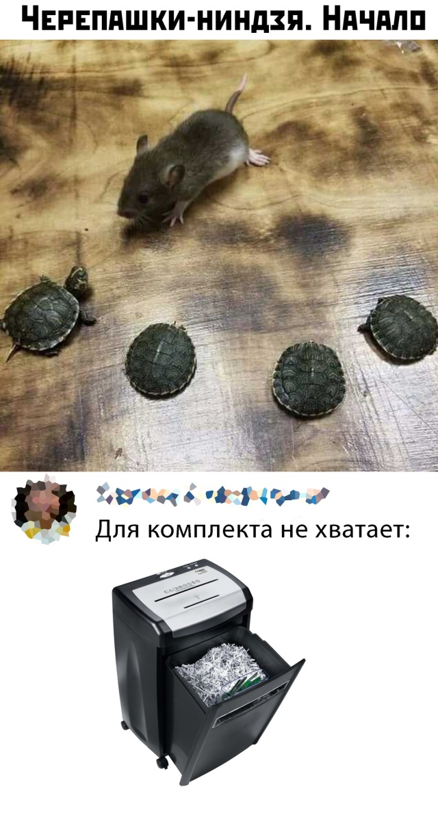 Прикольчики