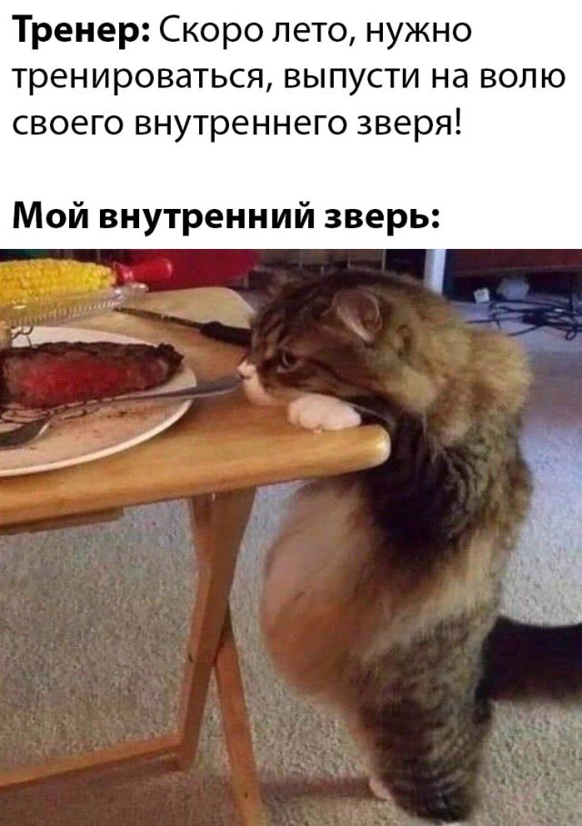 Вечерние приколы