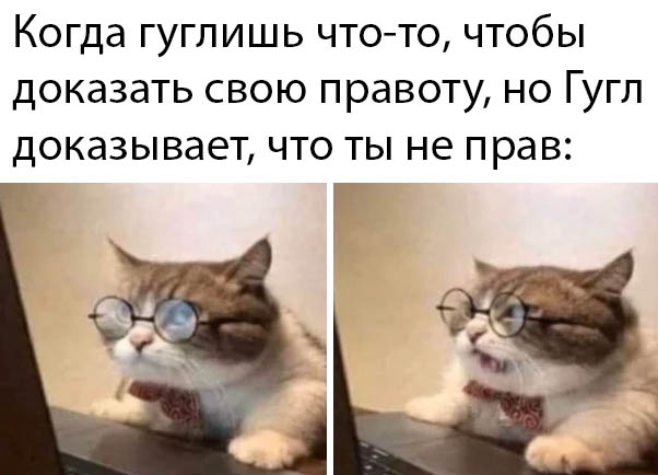 Прикольчики