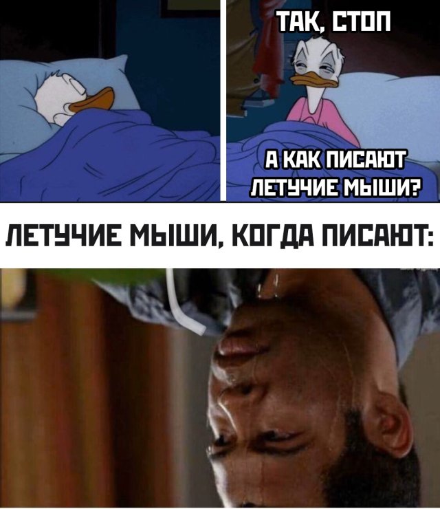 Прикольчики