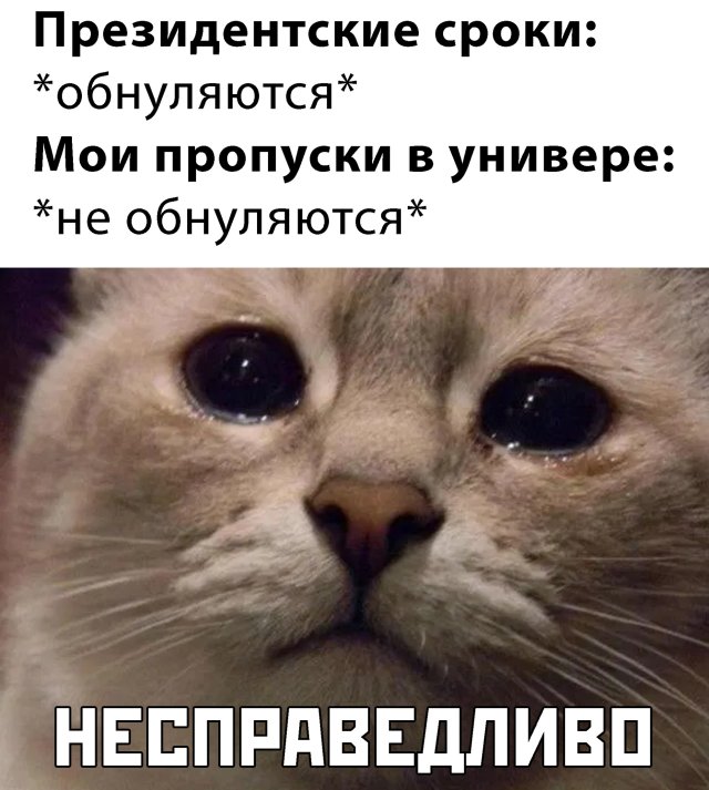 Прикольчики