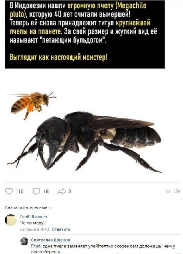 Люди говорят