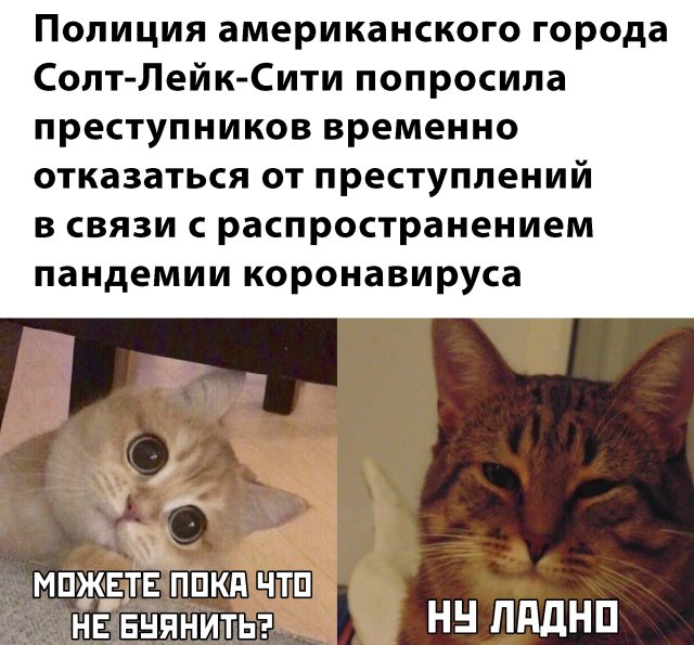 Прикольчики