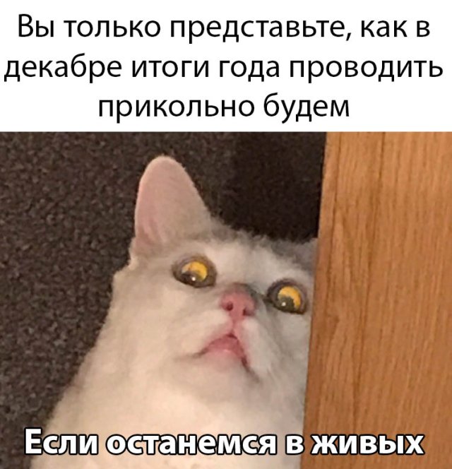 Вечерние приколы