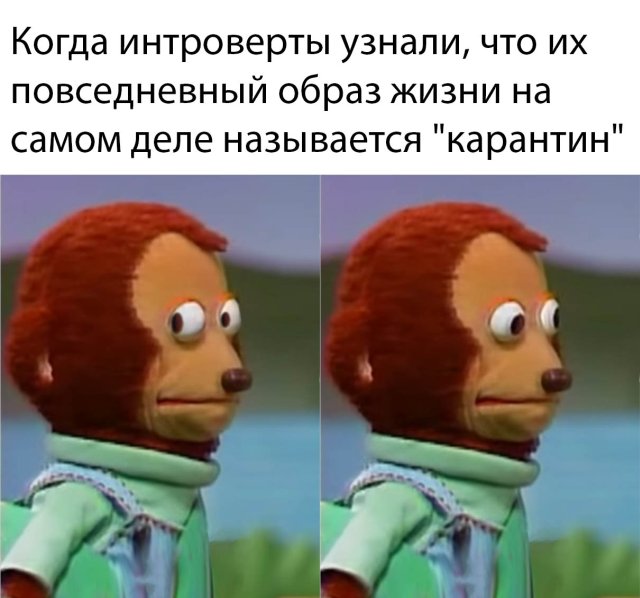 Прикольчики