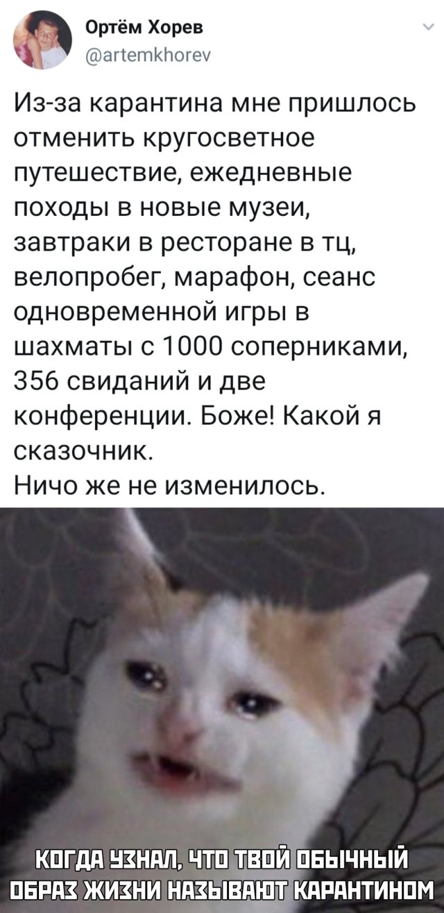 Прикольчики