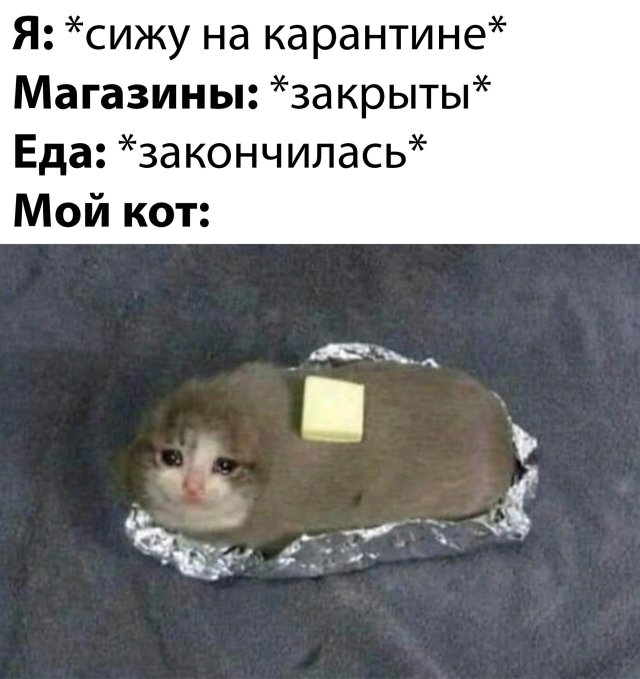 Прикольчики