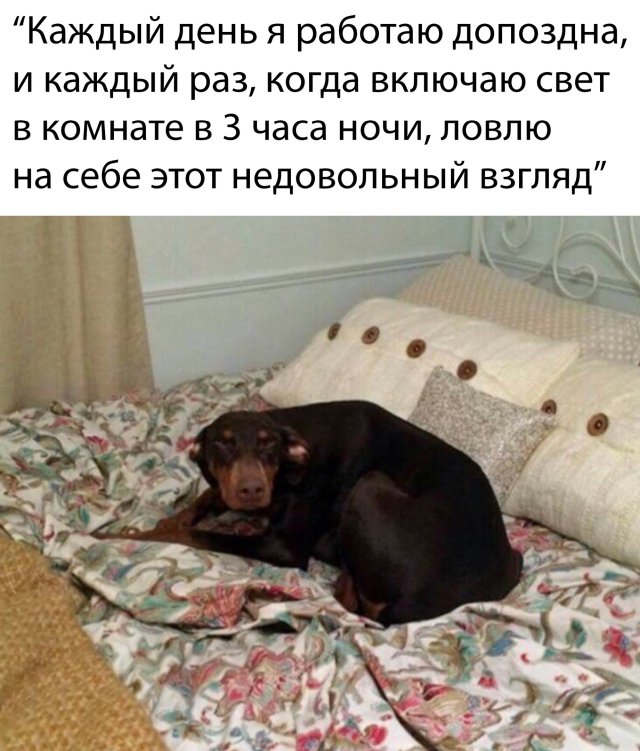 Прикольчики