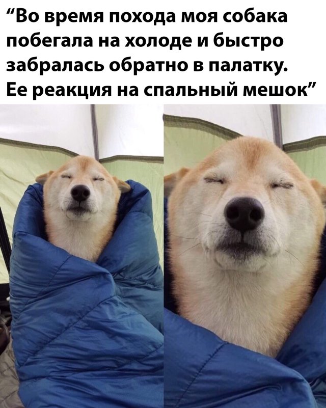 Прикольчики