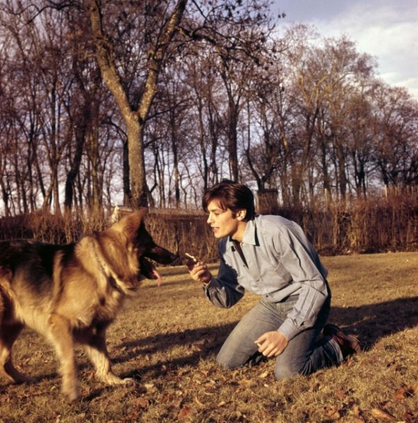 The special edition: Alain Delon 