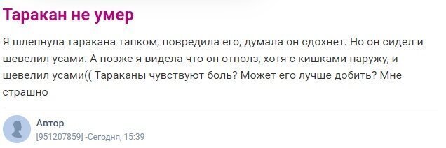 Женские вопросы и размышления, которые шокируют мужчин вопросы, очень, Женские, покажутся, точно, Мужчинам, поражают, порой, однако, ответы, какиелибо, форумы, найти, пытаются, девушки, Многие, популярны, Интернете, странными