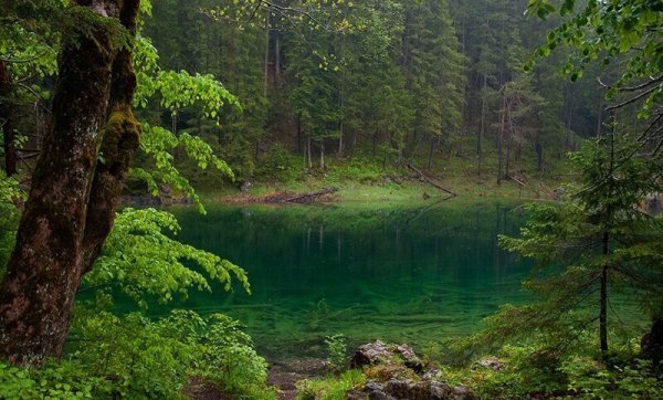 Лесные озёра Всячина