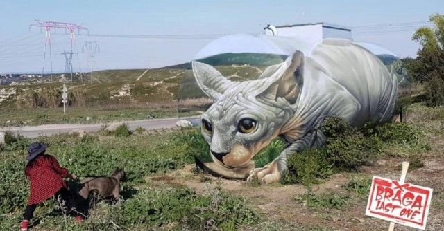 Французский художник превратил старую цистерну в кота Всячина
