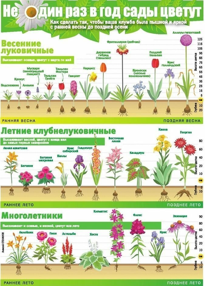 25 очень важных шпаргалок для садоводов-огородников Любите, любителей, разными, цветущий, украсить, урожай, собрать, посадить, чтото, земле, покопаться, жизни, огород , случаи, советов, полезных, кладезь, сохранить, Тогда, цветочки