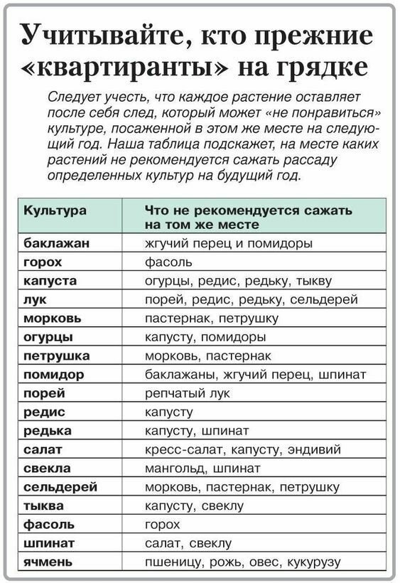 25 очень важных шпаргалок для садоводов-огородников Любите, любителей, разными, цветущий, украсить, урожай, собрать, посадить, чтото, земле, покопаться, жизни, огород , случаи, советов, полезных, кладезь, сохранить, Тогда, цветочки