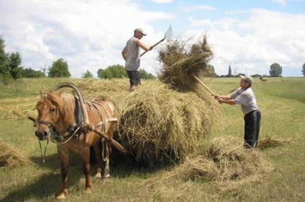 Душа народа живет, В деревне