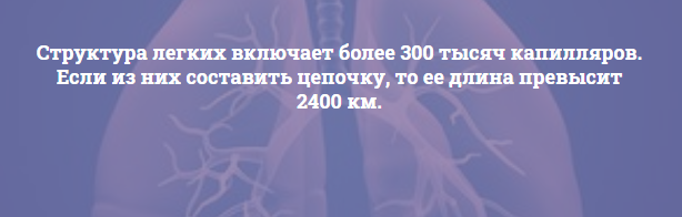 А вдруг вы не знали забыли, напоминалок