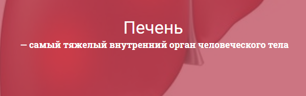 А вдруг вы не знали забыли, напоминалок