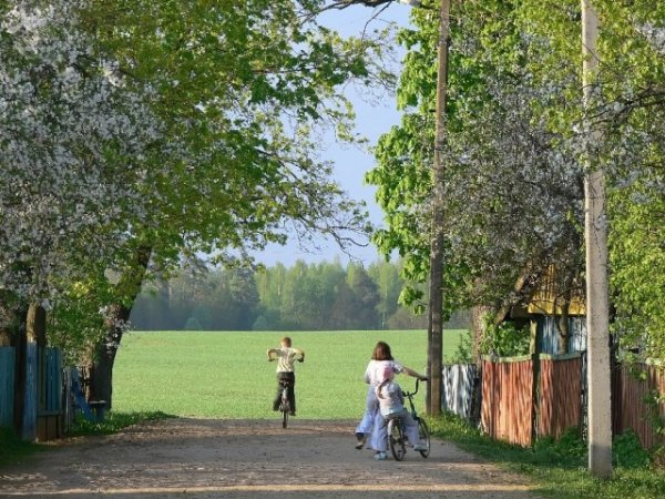 Красота и колорит русской деревни летом 