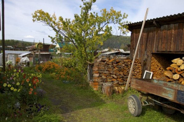 Красота и колорит русской деревни летом 