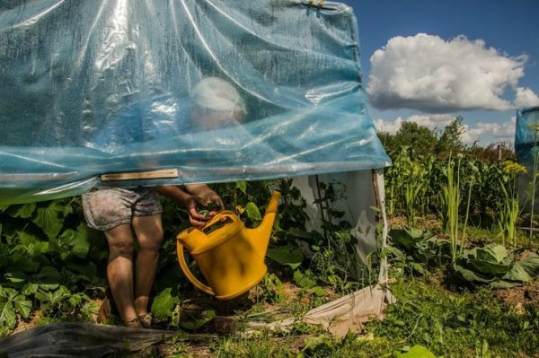 Ностальгическая подборка фотографий о беззаботном детстве в деревне снова, нельзя, только, посмотреть, атмосферные, фотографии, Стоит, отметить, данные, кадры, можно, услышать, увидеть, перенестись, чувствовать, Поэтому, снимки, нуждаются, описании, слова