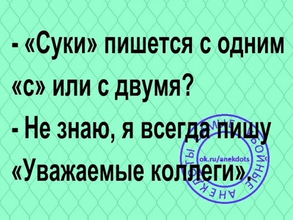 Анекдоты в картинках 