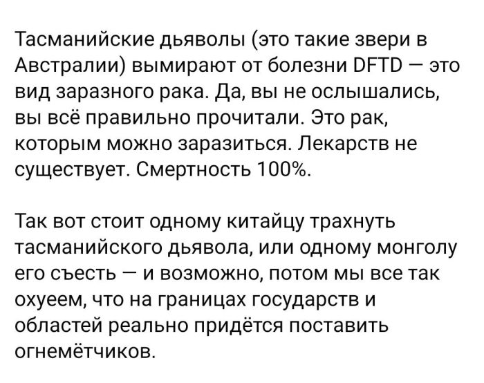 Тасманийский дьявол и 2020 год милый, зверек, гипотетически, может, выкосить, течении