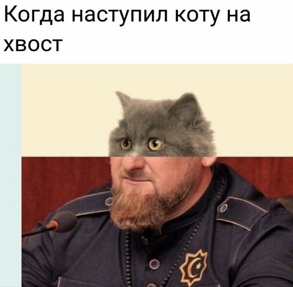 Котомемы 