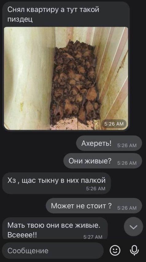 Вот и поговорили, называется... Небольшое, количество, разнообразных, диалогов