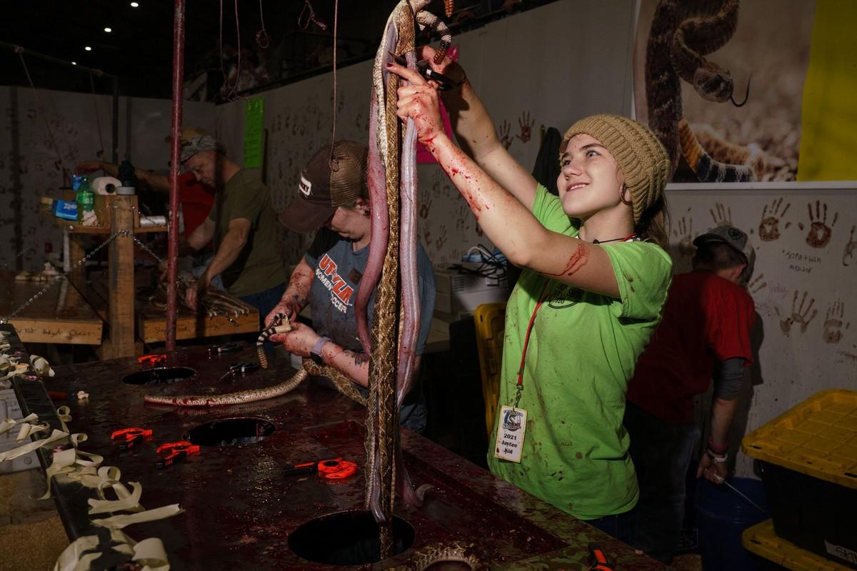 Жуткие кадры с фестиваля змей в Техасе Всячина