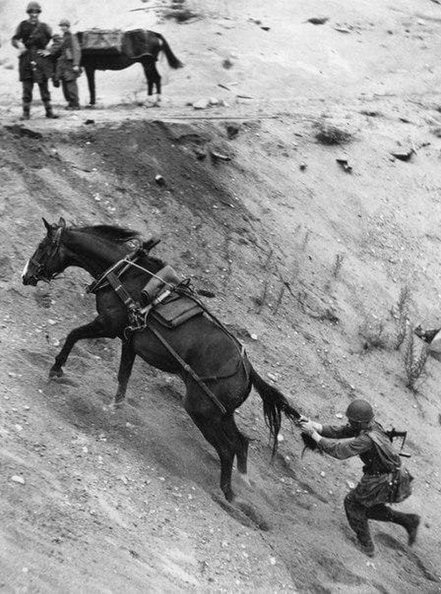 Солянка архивных кадров Американская, актриса, Мародер, экологический, Безработные, плотники, живущие, палатке, Орегон, Август, Хеллоуинвечеринка, ЛосАнджелесе, Гевара, школе, Советский, плакат, Эпплгейт, 1970е, Партизаны, стоят