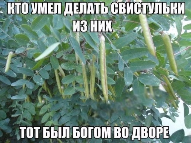 Ностальгнем? 