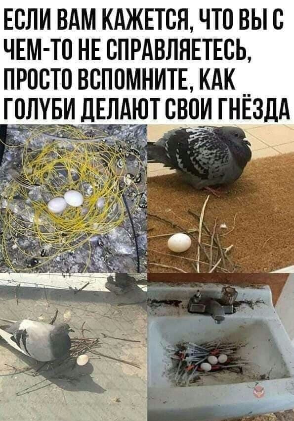 Юморок и не только 