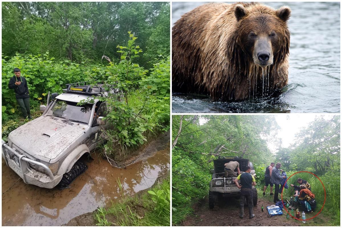 Супруги 2 суток провели на дереве, спасаясь от медведя на Камчатке