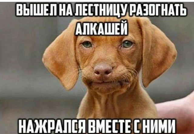 Пятничный алкопост 