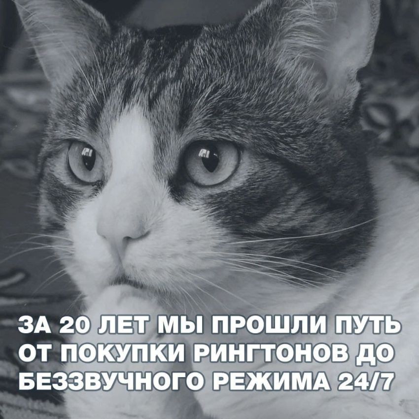 Порно кому за 40 русское домашнее ▶️ Лучшие секс-ролики