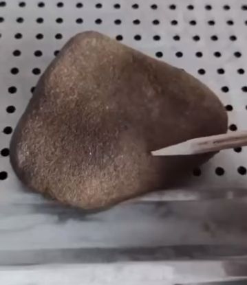 Лягушка в камне