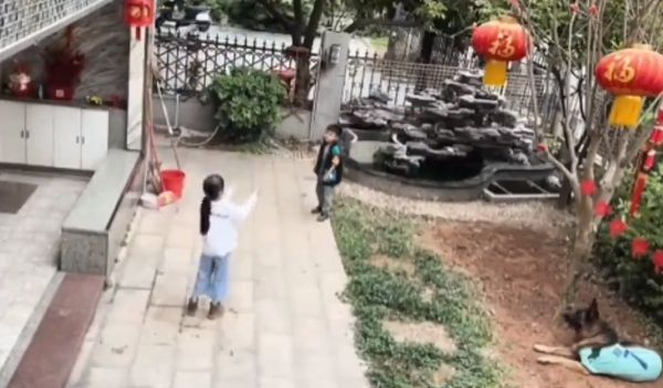 Пёс не дал ребёнку упасть в фонтан, и сам достал мяч из воды