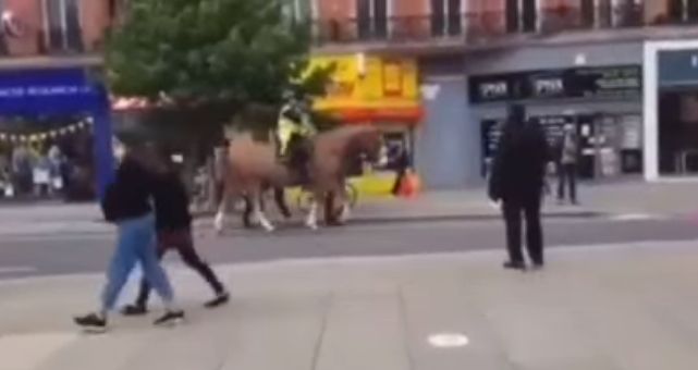 Полицейские лошади не разделяют ценности ЛГБТ