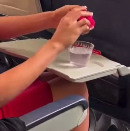 Найдено кое-что похуже плачущего ребёнка в самолёте