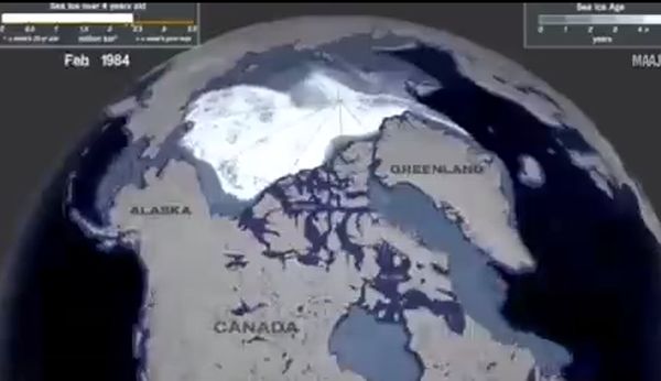 Арктика, 1984-2020