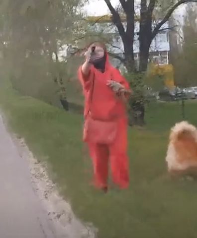 Неадекватная женщина, гуляющая с собакой, укусила девушку, идущую мимо