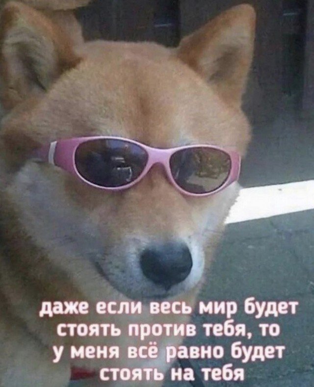 Шутки и мемы 