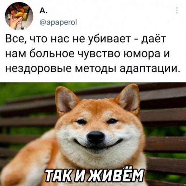 Прикольные картинки с надписями